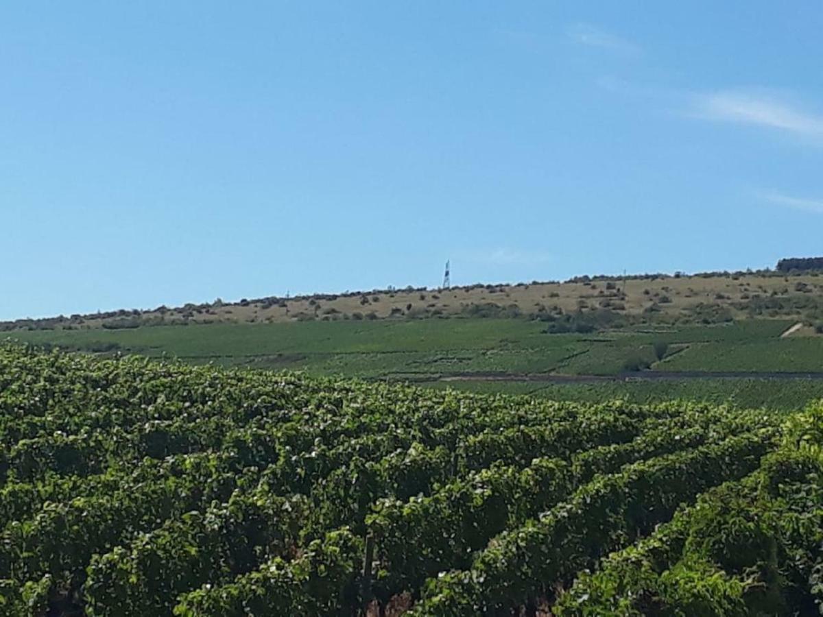 La Layotte Villa Vosne-Romanée Eksteriør bilde