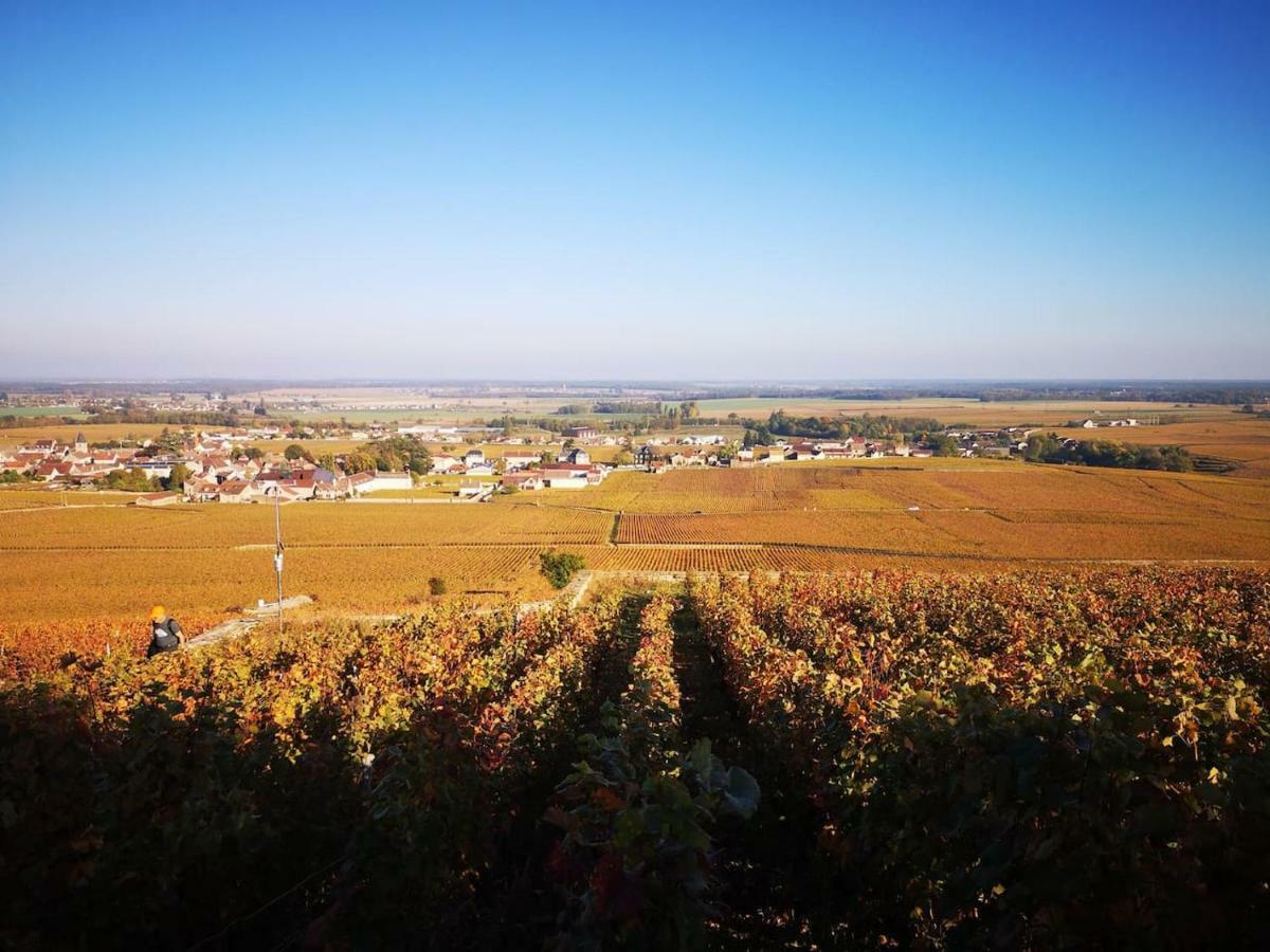 La Layotte Villa Vosne-Romanée Eksteriør bilde